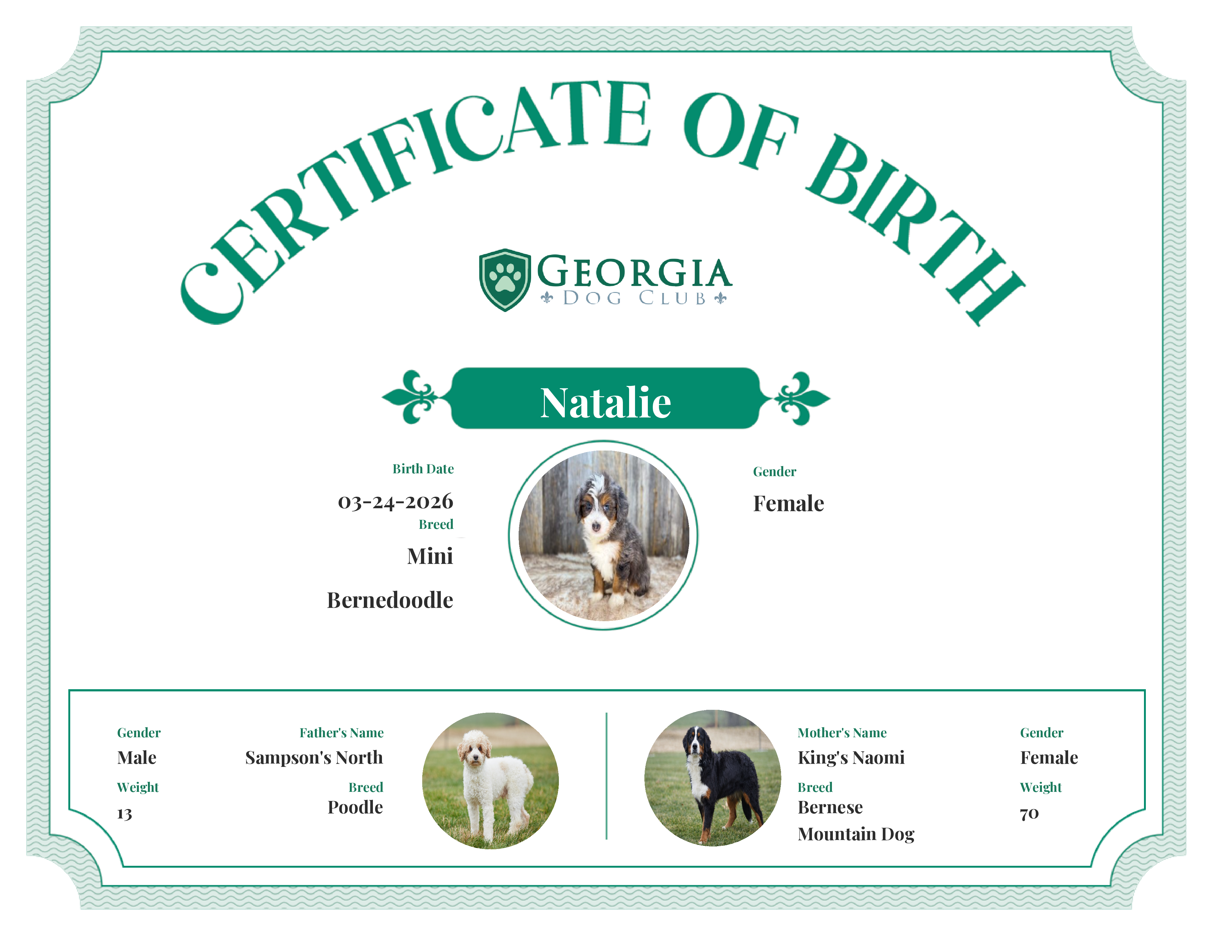 Natalie's Birth Certificate