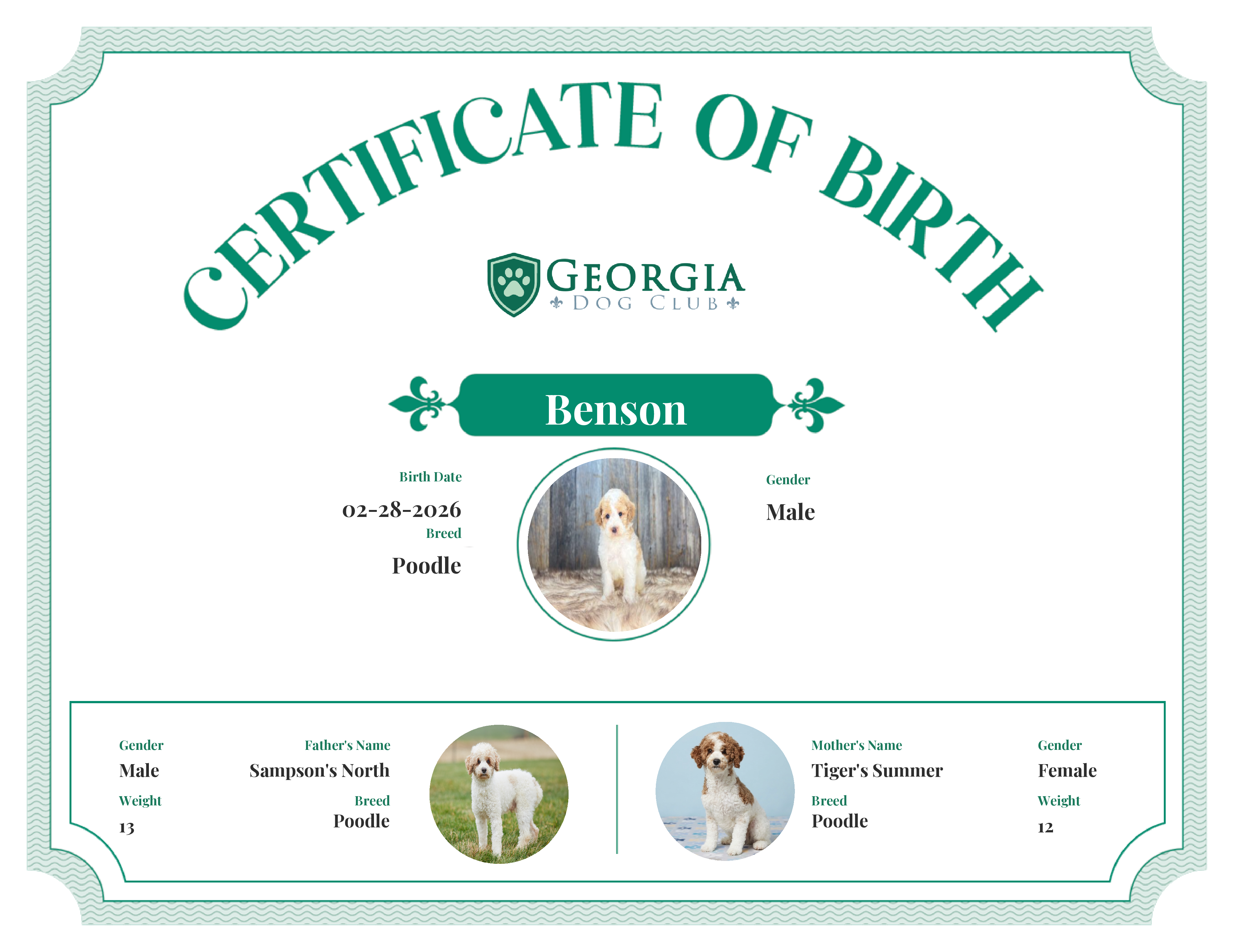 Benson's Birth Certificate
