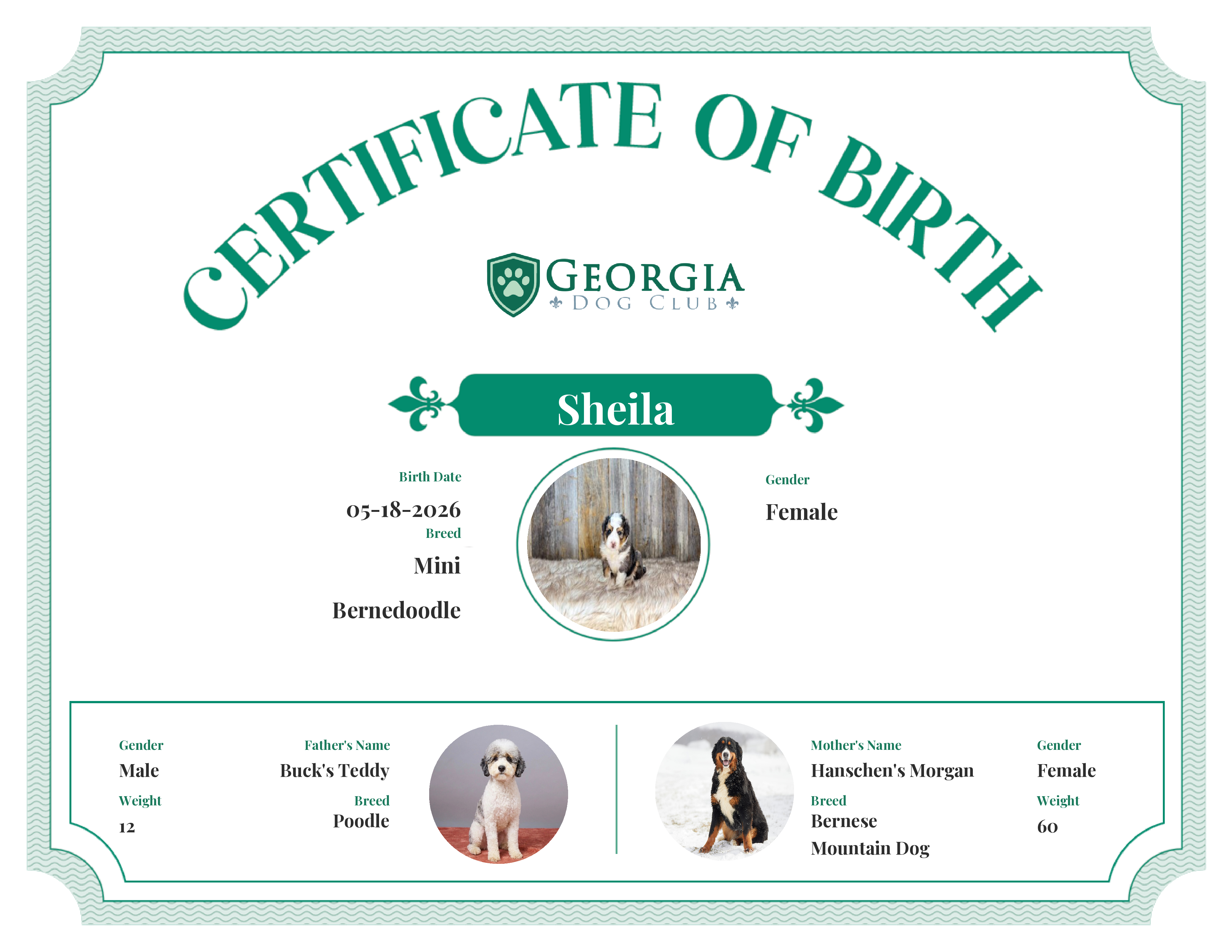 Sheila's Birth Certificate