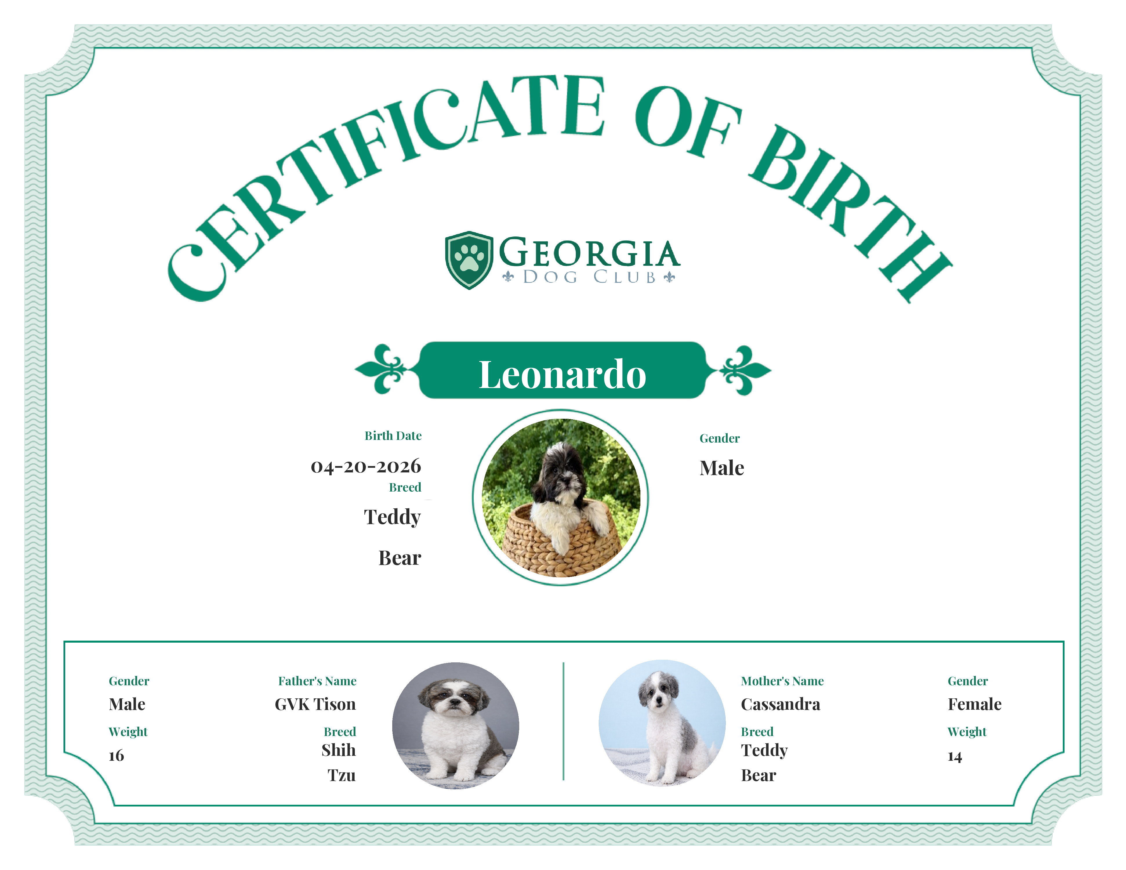 Jimbo's Birth Certificate