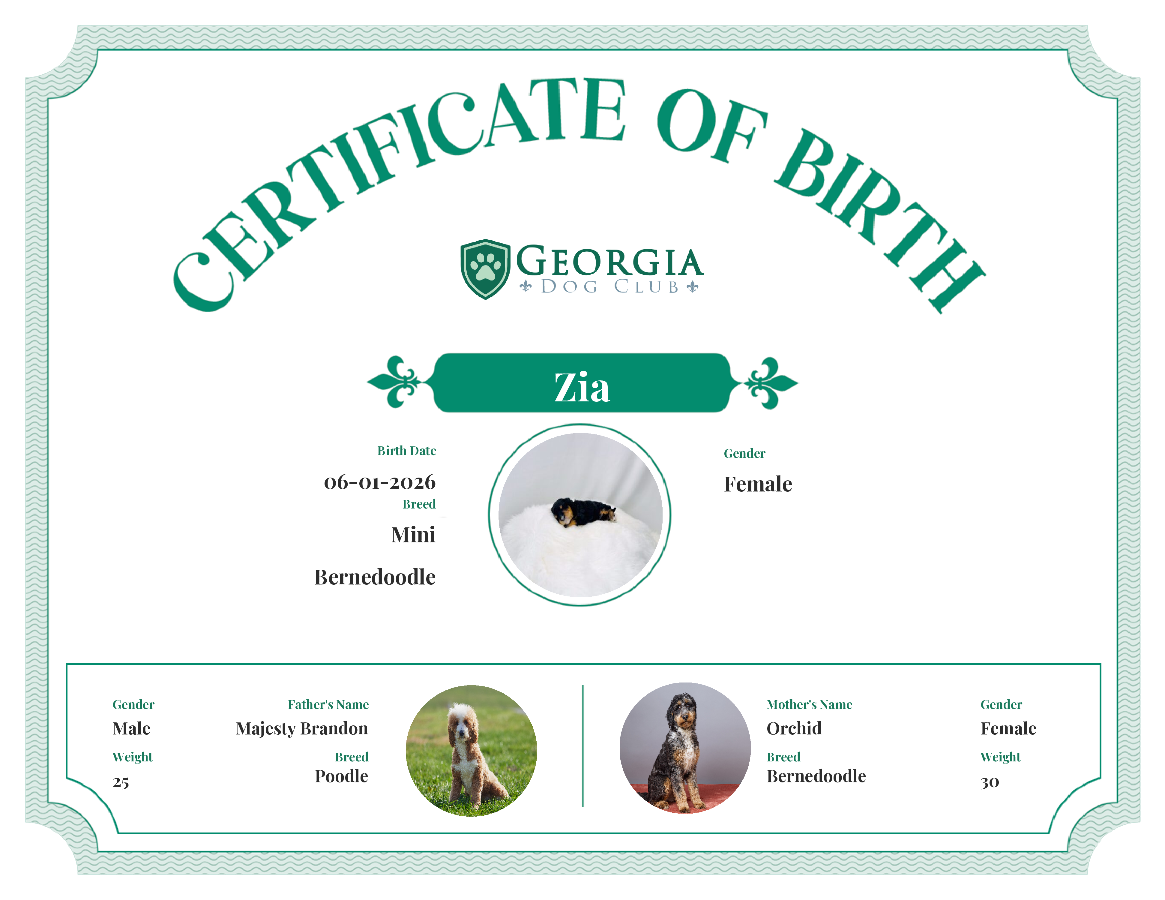 Zia's Birth Certificate
