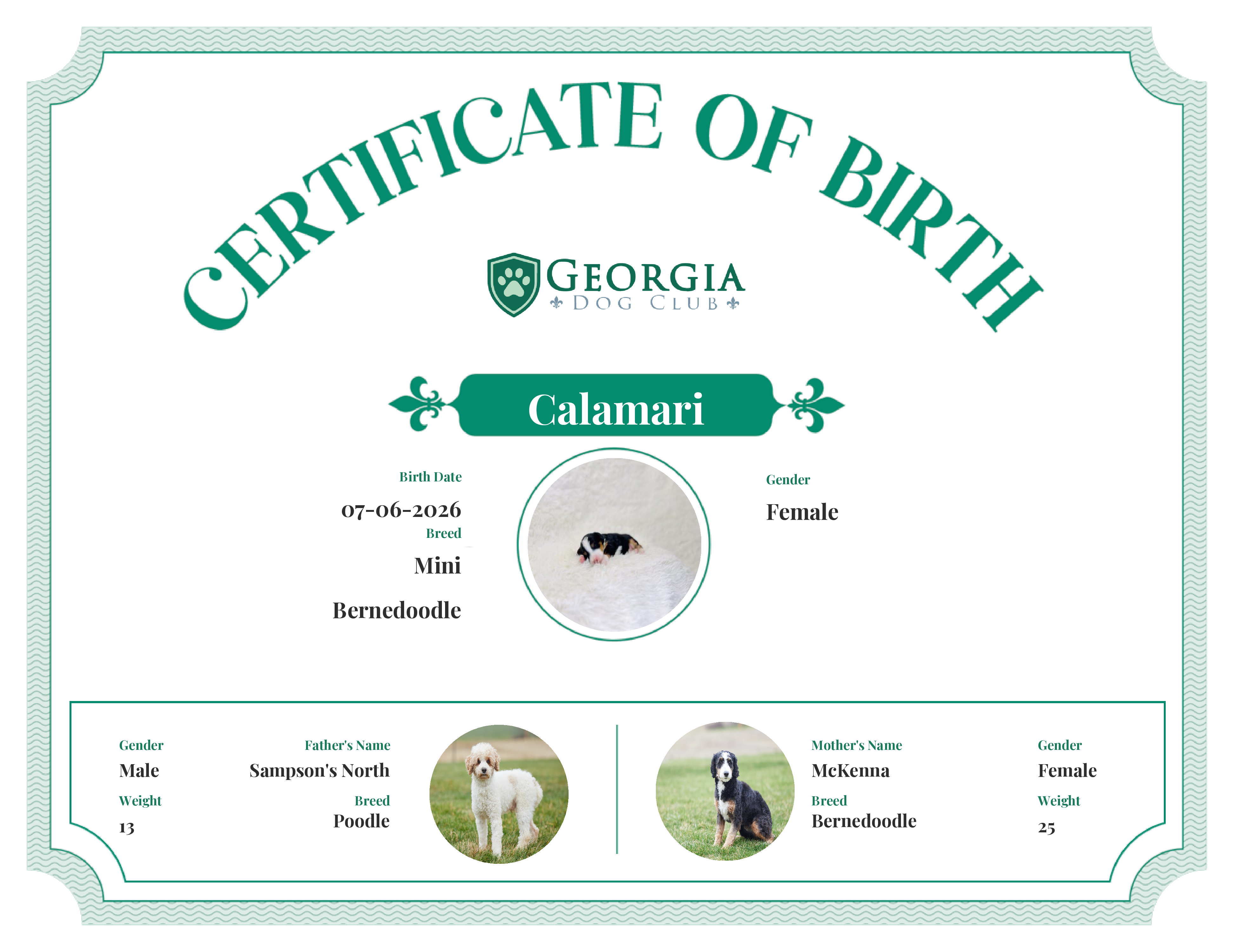 Calamari's Birth Certificate