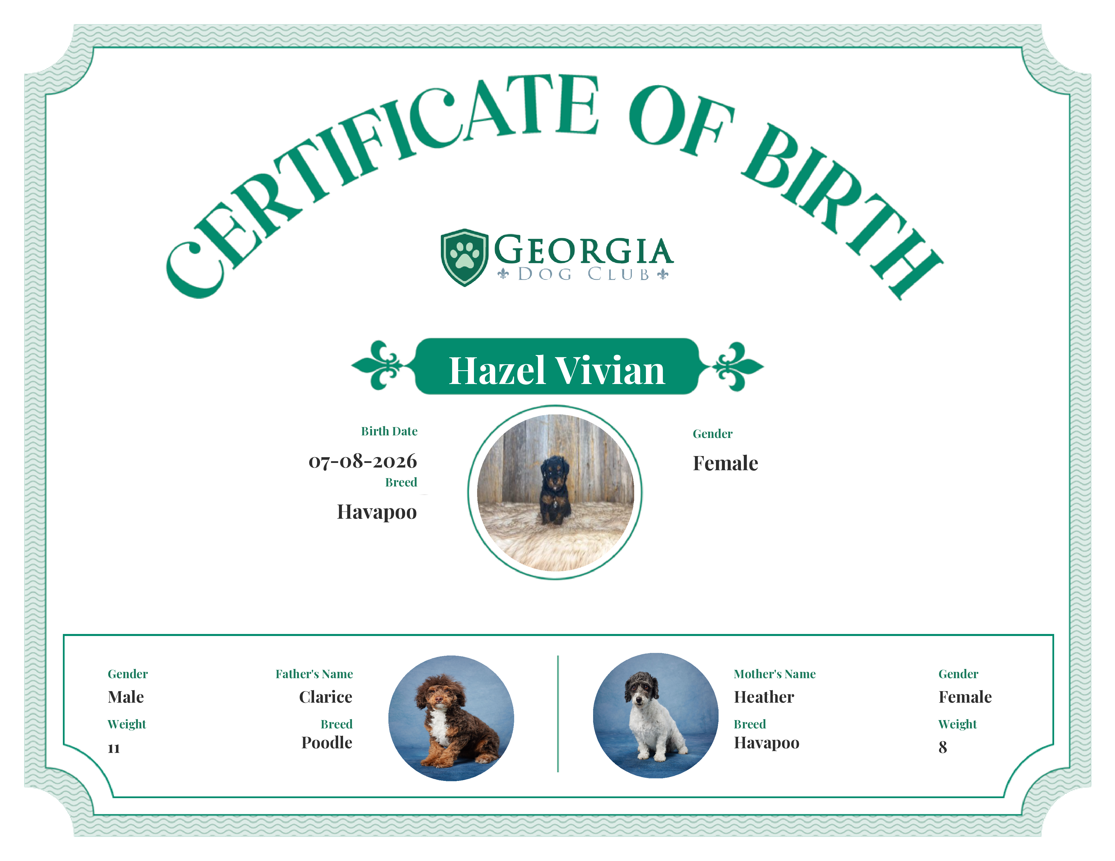 Alana's Birth Certificate